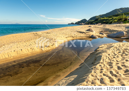 Nagata Inakahama: Yakushima's largest sea turtle nesting site (summer) 137349783