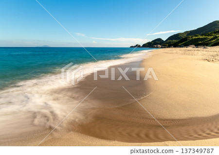 永田稻中濱：屋久島最大的海龜築巢地（夏季） 137349787