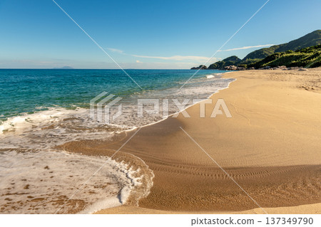 永田稻中濱:屋久島最大的海龜築巢地(夏季) 永田稻中濱:屋久島最大的海龜築巢地(夏季) 137349790