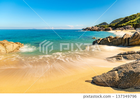 永田稻中濱:屋久島最大的海龜築巢地(夏季) 永田稻中濱:屋久島最大的海龜築巢地(夏季) 137349796