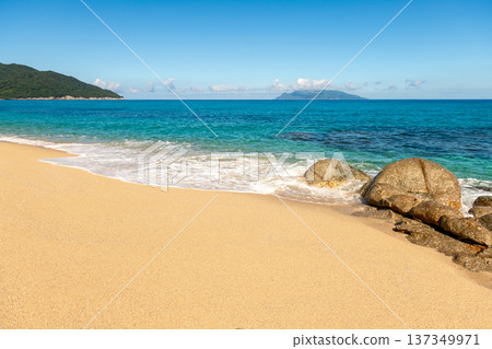 Nagata Inakahama: Yakushima's largest sea turtle nesting site (summer) Nagata Inakahama: Yakushima's largest sea turtle nesting site (summer) 137349971