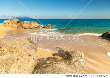 永田稻中濱：屋久島最大的海龜築巢地（夏季） 137349974