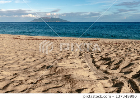 永田稻中濱:屋久島最大的海龜築巢地(夏季) 永田稻中濱:屋久島最大的海龜築巢地(夏季) 137349990