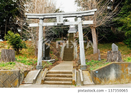 【綾瀨市：熊野神社的鳥居與石階，神社建築的屋頂翻新工程於2021年完成】 137350065