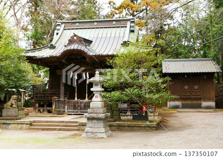 [Koshikake Shrine, a shrine associated with Emperor Yamato Takeru, Chigasaki City, with its worship hall (right) and ritual equipment storehouse] 137350107