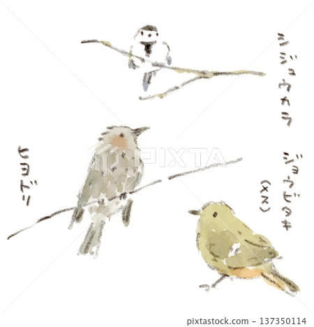 Watercolor illustration of wild birds (tit, brown-eared bulbul, female robin) 137350114