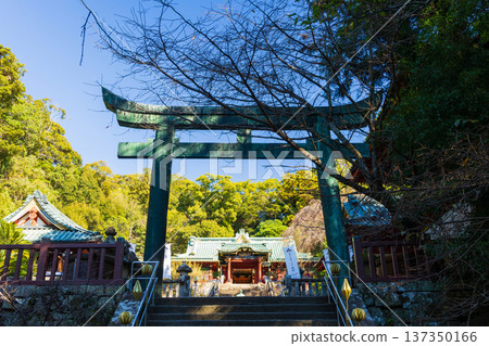 Autumn at Kunozan Toshogu Shrine in Shizuoka City, Shizuoka Prefecture 137350166