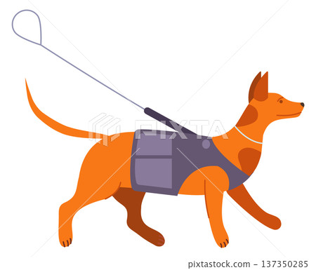 Guide dog on leash. Blind support animal icon Guide dog on leash. Blind support animal icon 137350285