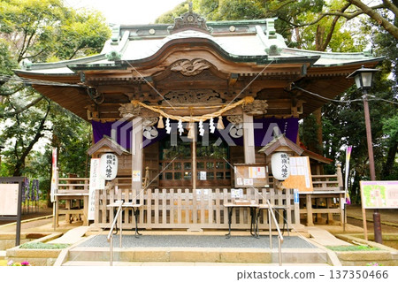 [Chigasaki City, Sagami Province, Chigasaki's main shrine, Tsurumine Hachiman Shrine, worship hall] 137350466