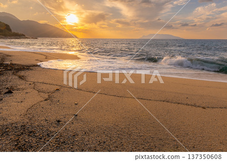 永田田中濱海龜產卵場 屋久島夜景（秋季） 137350608