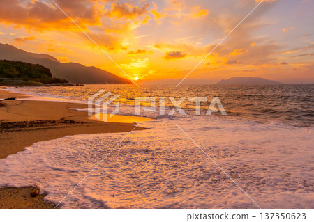 Nagata Inakahama Sea Turtle Spawning Site Yakushima Evening Scene (Autumn) Nagata Inakahama Sea Turtle Spawning Site Yakushima Evening Scene (Autumn) 137350623