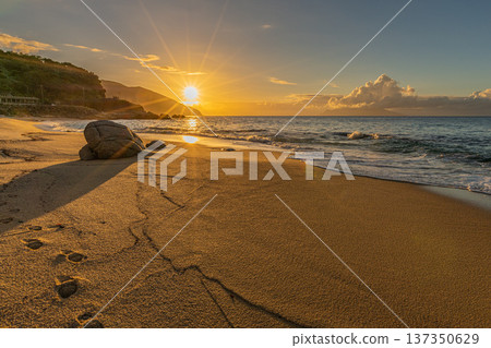 Nagata Inakahama Sea Turtle Spawning Site Yakushima Evening Scene (Autumn) Nagata Inakahama Sea Turtle Spawning Site Yakushima Evening Scene (Autumn) 137350629