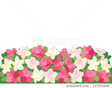 An illustrated card combining white and pink azaleas with a green background. 137350896