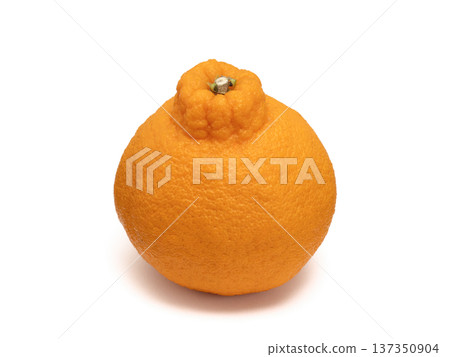 Taishouki, a brand of citrus fruit from Kagoshima Prefecture Taishouki, a brand of citrus fruit from Kagoshima Prefecture 137350904