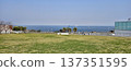 Horizon  137351595