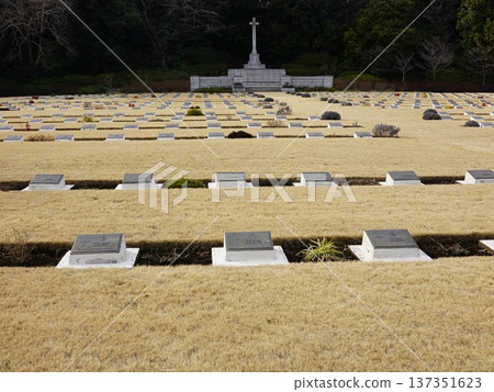 Commonwealth War Cemetery in the pale early spring sunshine Commonwealth War Cemetery in the pale early spring sunshine 137351623