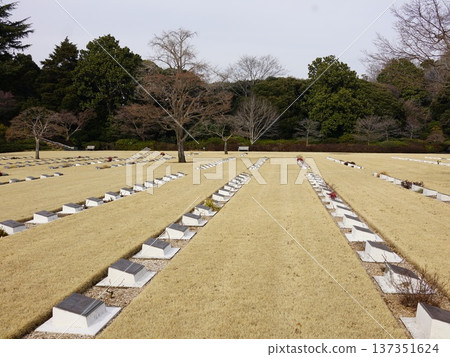 Commonwealth War Cemetery in the pale early spring sunshine Commonwealth War Cemetery in the pale early spring sunshine 137351624