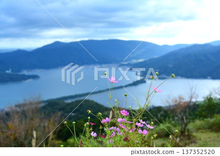 A distant view of Amanohashidate from Kasamatsu Park A distant view of Amanohashidate from Kasamatsu Park 137352520