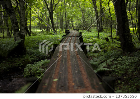 夏季登山 137353550