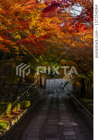 一條沐浴在秋日陽光下的道路 一條沐浴在秋日陽光下的道路 137354064