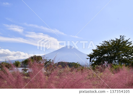 Kokia Fujisan Kokia Fujisan 137354105