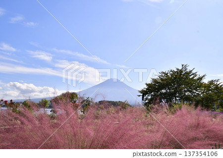 Kokia Fujisan 137354106