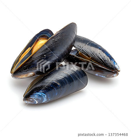 Fresh and Raw Mussels on a White Background Ready for Cooking and Culinary Use Fresh and Raw Mussels on a White Background Ready for Cooking and Culinary Use 137354468