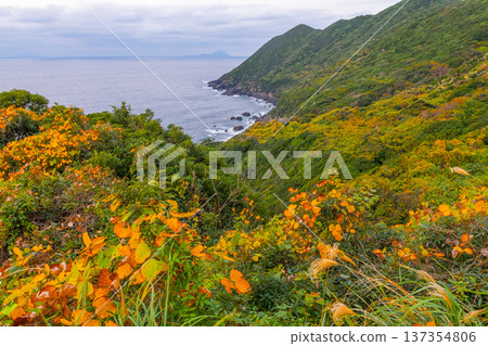 屋久島最大的隆起珊瑚礁，春田海岸的黎明（冬季） 137354806