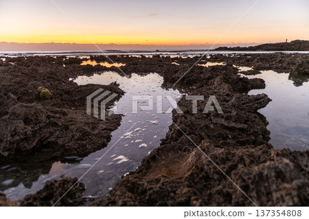 屋久島最大的隆起珊瑚礁，春田海岸的黎明（冬季） 137354808