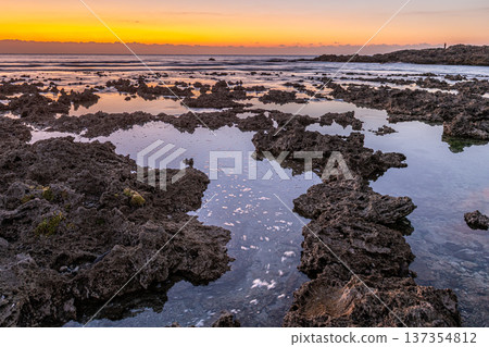 屋久島最大的隆起珊瑚礁，春田海岸的黎明（冬季） 137354812