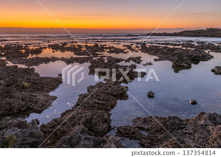 屋久島最大的隆起珊瑚礁，春田海岸的黎明（冬季） 137354814