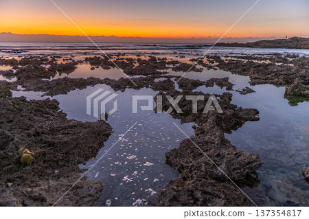 屋久島最大的隆起珊瑚礁，春田海岸的黎明（冬季） 137354817