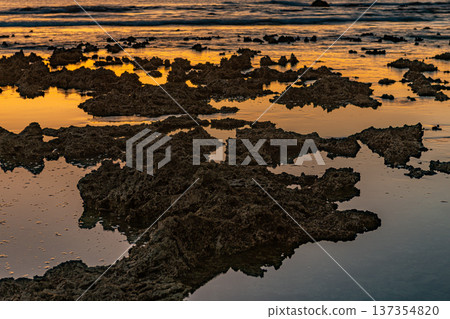 屋久島最大的隆起珊瑚礁，春田海岸的黎明（冬季） 137354820