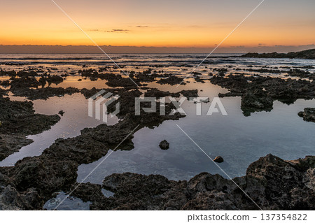 屋久島最大的隆起珊瑚礁，春田海岸的黎明（冬季） 137354822