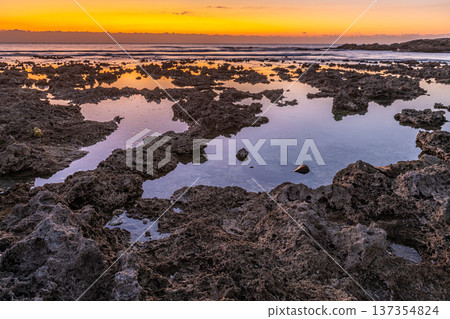 屋久島最大的隆起珊瑚礁，春田海岸的黎明（冬季） 137354824