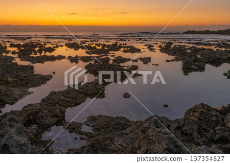 屋久島最大的隆起珊瑚礁，春田海岸的黎明（冬季） 137354827