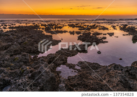 屋久島最大的隆起珊瑚礁，春田海岸的黎明（冬季） 137354828