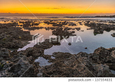屋久島最大的隆起珊瑚礁，春田海岸的黎明（冬季） 137354831