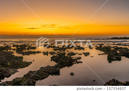 屋久島最大的隆起珊瑚礁，春田海岸的黎明（冬季） 137354837