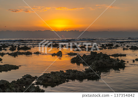 屋久島最大的隆起珊瑚礁，春田海岸的黎明（冬季） 137354842