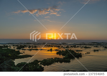 屋久島最大的隆起珊瑚礁，春田海岸的黎明（冬季） 137354845