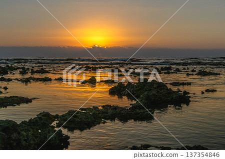 屋久島最大的隆起珊瑚礁，春田海岸的黎明（冬季） 137354846