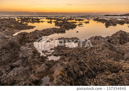 屋久島最大的隆起珊瑚礁，春田海岸的黎明（冬季） 137354848