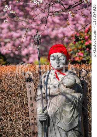 Jizo and Kawazu cherry blossoms Jizo and Kawazu cherry blossoms 137354926