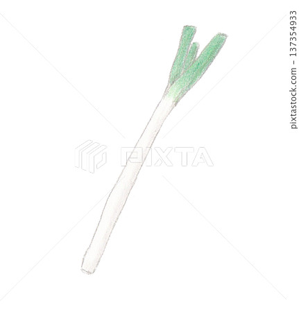 Colored pencil drawing of green onions Colored pencil drawing of green onions 137354933