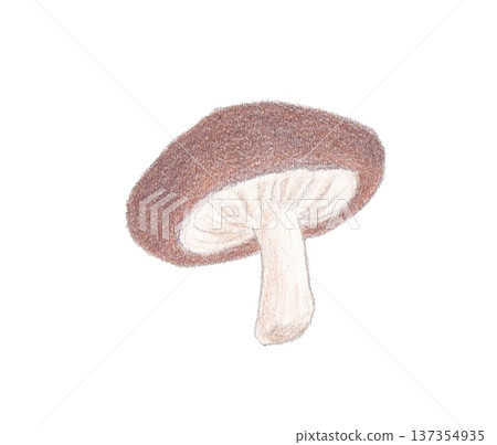 Shiitake mushrooms drawn with colored pencils 137354935