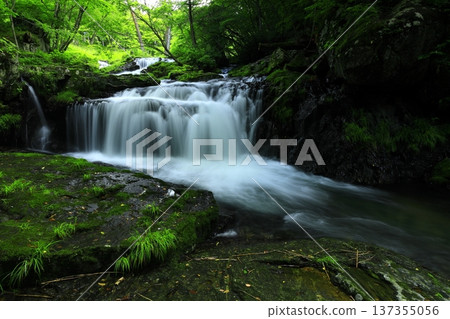Koguro Falls in summer, Ichinoseki City, Iwate Prefecture Koguro Falls in summer, Ichinoseki City, Iwate Prefecture 137355056