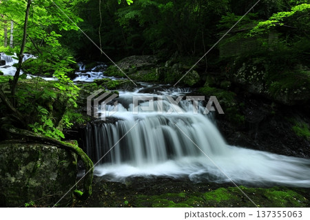 Koguro Falls in summer, Ichinoseki City, Iwate Prefecture Koguro Falls in summer, Ichinoseki City, Iwate Prefecture 137355063