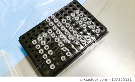 一架整齊排列的微型離心管 一架整齊排列的微型離心管 137355121