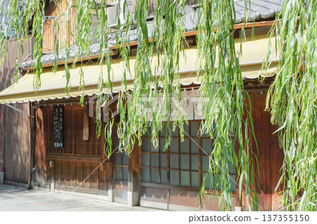 透過柳樹可以看到傳統的日本木造建築 137355150